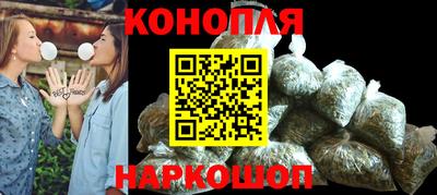 прущие крисы Будённовск