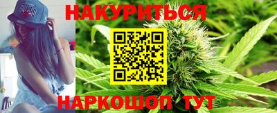 прущие крисы Будённовск