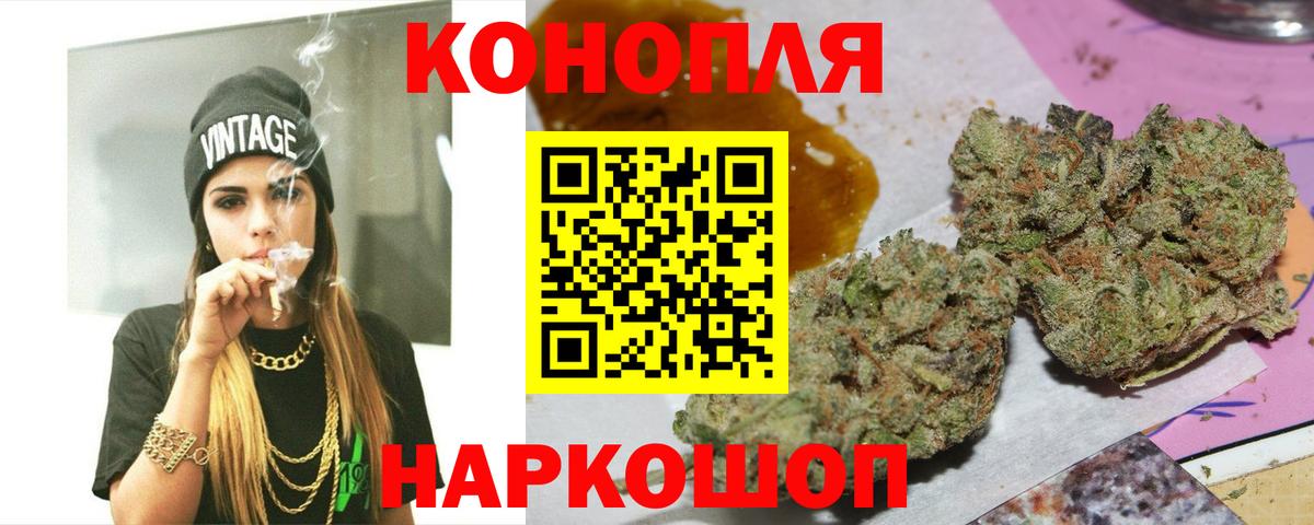 Конопля гибрид Пятигорск